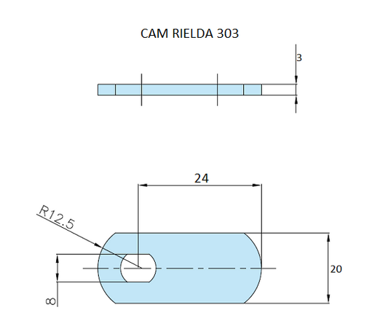 Rielda lock cam 303