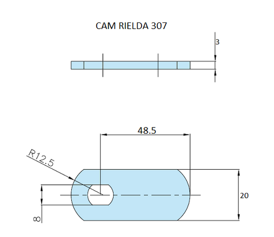 Rielda lock cam 307