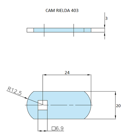 Rielda lock cam 403