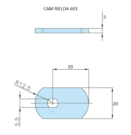 Rielda lock cam 601