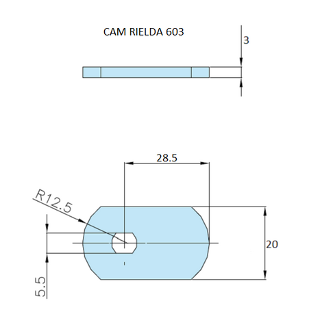 Rielda lock cam 603