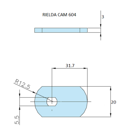 Rielda lock cam 604