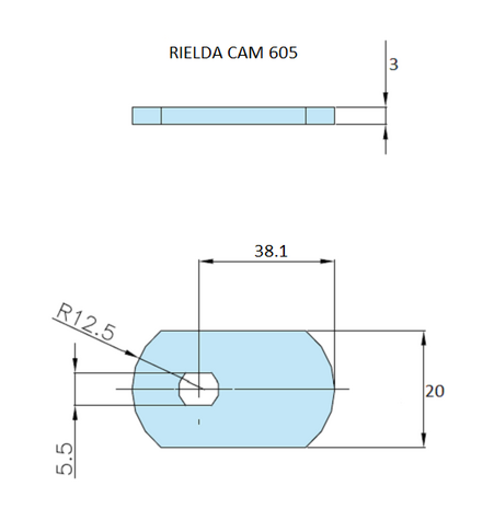 Rielda lock cam 605