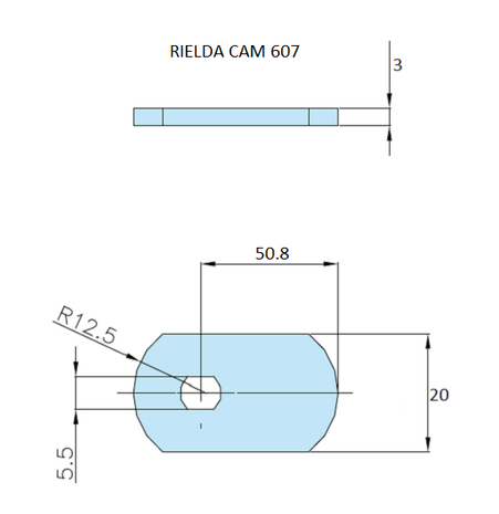 Rielda lock cam 607