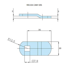 Rielda lock cam 106