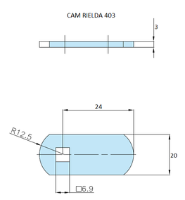 Rielda lock cam 403