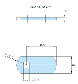 Rielda lock cam 407