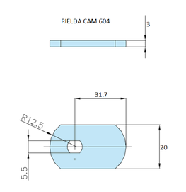 Rielda lock cam 604