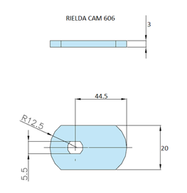 Rielda lock cam 606