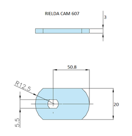 Rielda lock cam 607