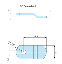 Rielda lock cam 614