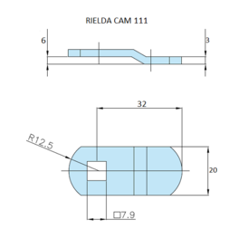 Rielda lock cam 111